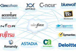 Salesforce Partners