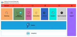 Level 0: Salesforce Functional Capability Map